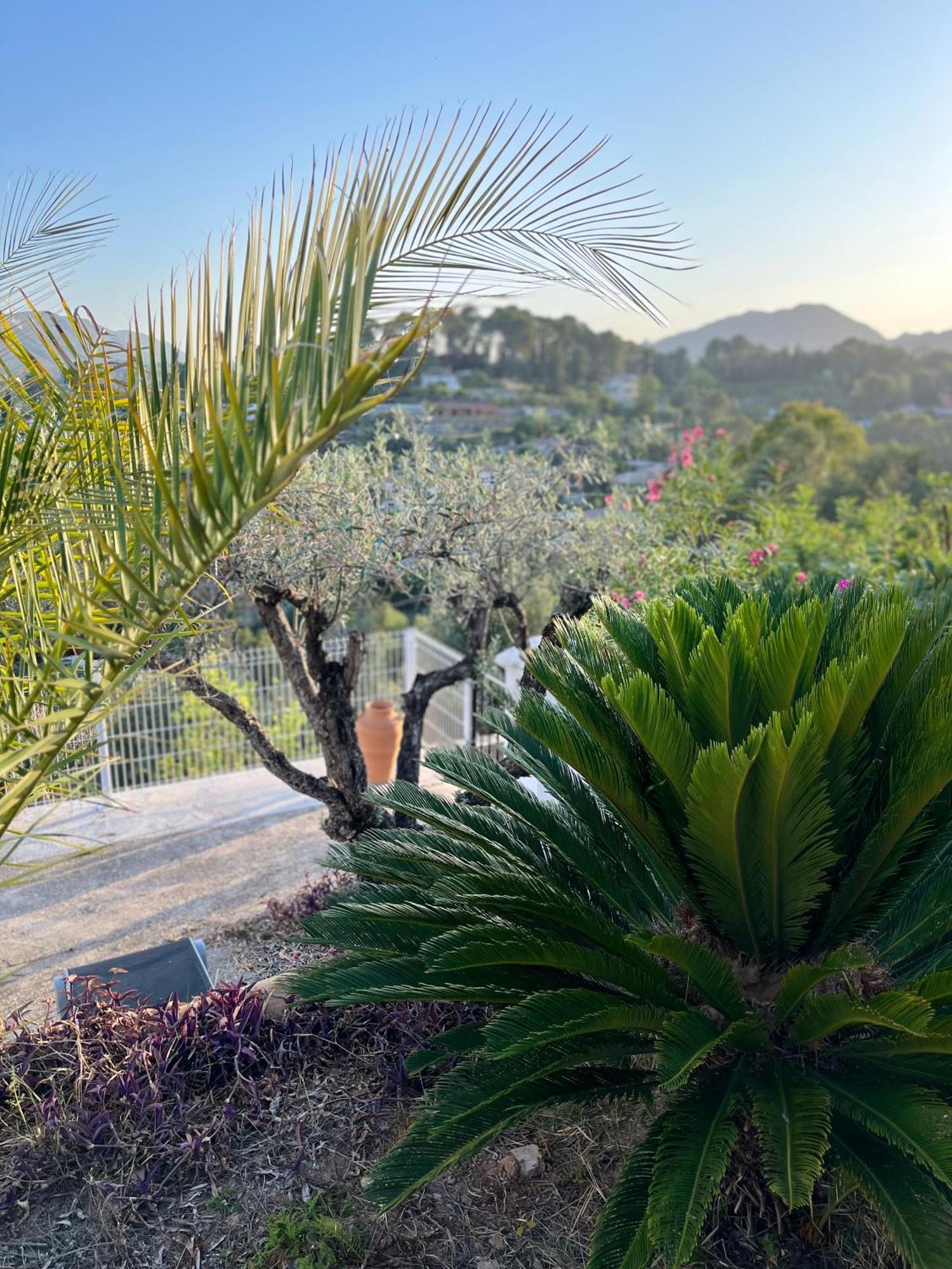 Rios Villa *